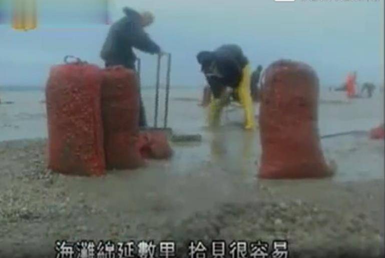讲述:这个"死亡海滩"曾让23名中国人遇难,背后原因而