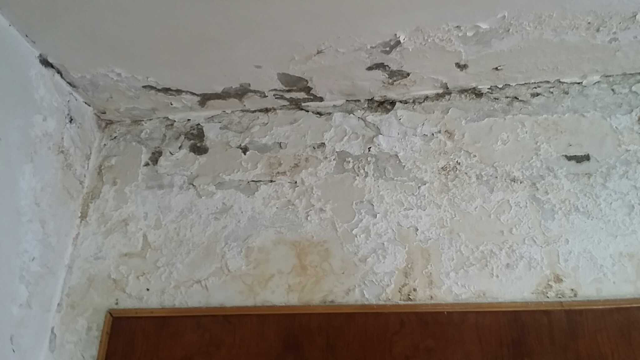 屋顶渗水一般是什么原因说说你的想法如何补救呢