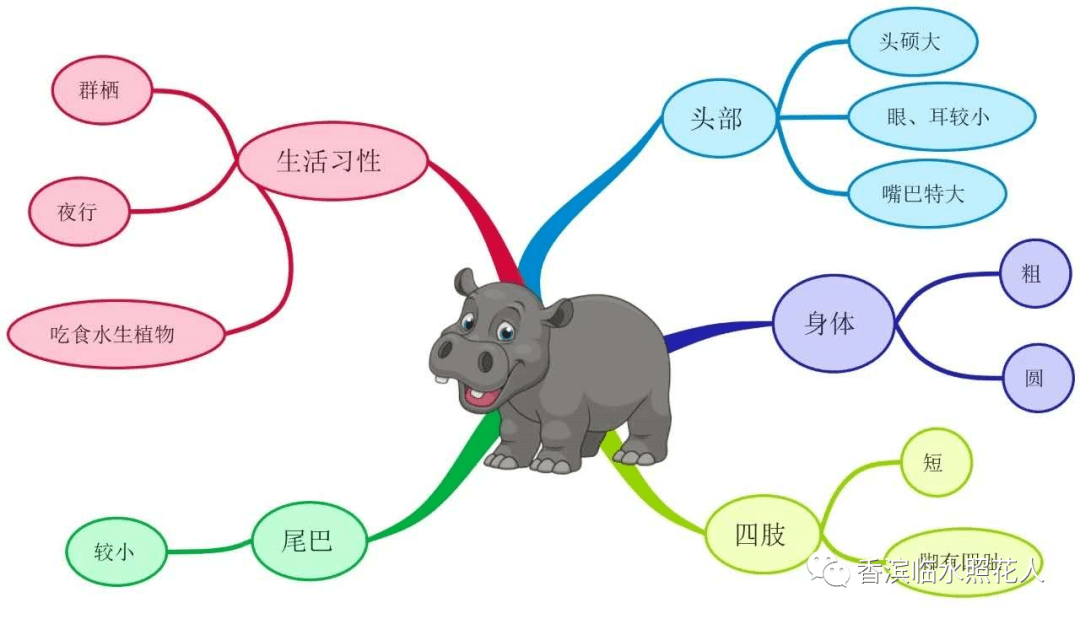 思维导图"画"作文】五年级 我的心爱之物—东北虎的自述(十六)_老虎