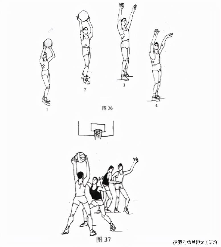 大学篮球教案模板范文_篮球教案模板范文_篮球教案模板