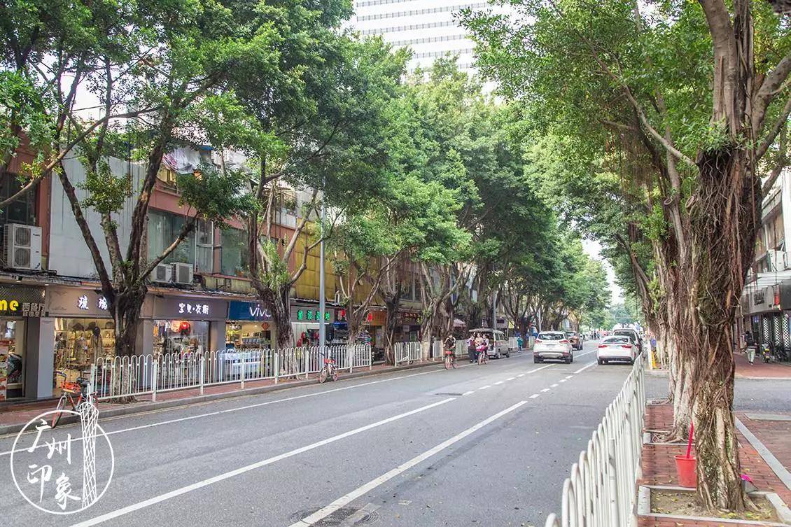 真羡慕住在芳村的广州人