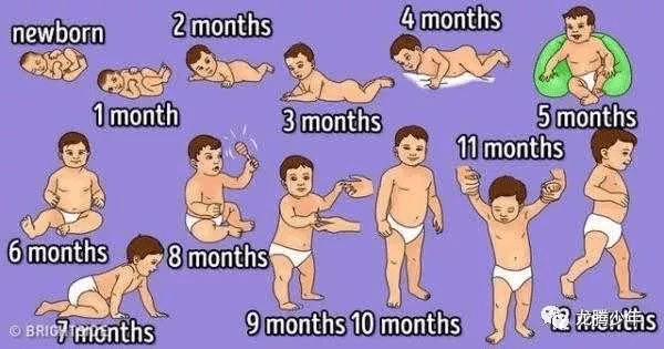 抬头、爬行、行走,1-12个月宝宝大动作训练方法大全！