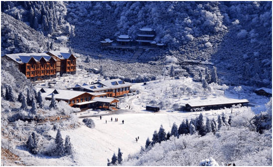 金佛山在观音桥下了一场雪!_冰雪