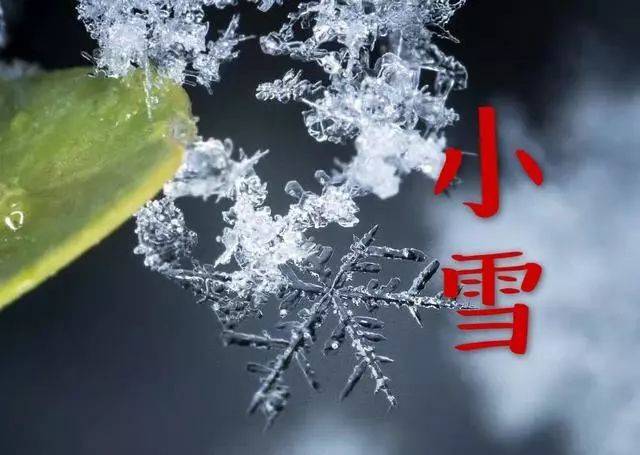 早上好!小雪虽冷,但祝福是暖的,愿我的祝福将温暖你整个冬天!