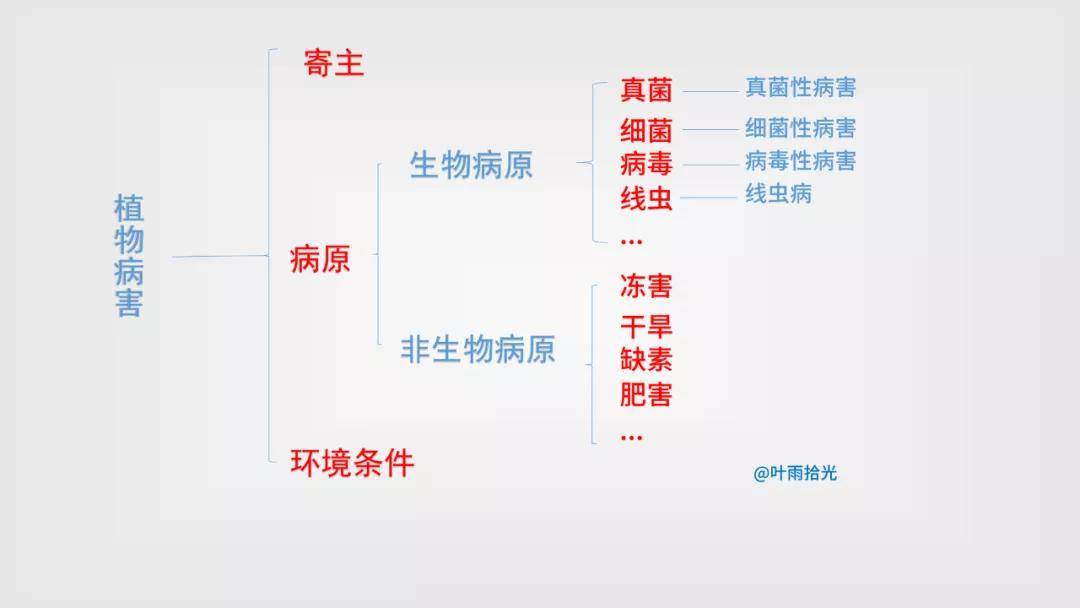 病害发生就减产明白了植物的这3个发病条件比用增产套餐还有用