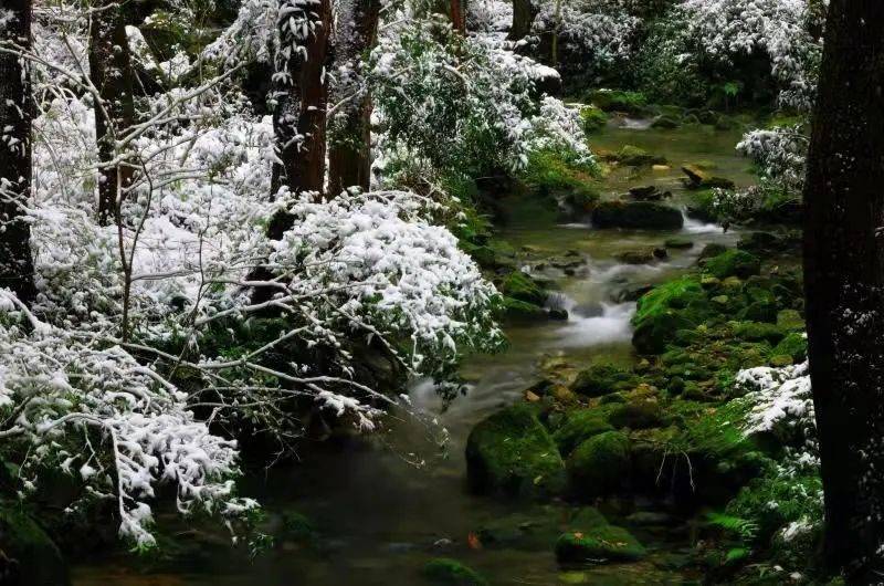 雁荡山雪景gift of season是朝霞是晚风是晨起的一碗白粥是傍晚的