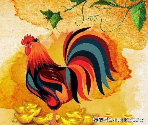 1993年属鸡人93年出生的属鸡人,从小不是特别聪明,就是有某一个方面的