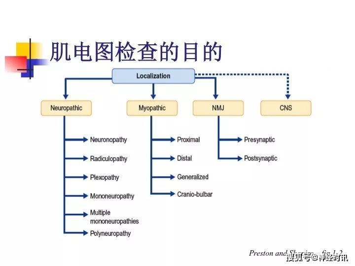 临床笔记一文读懂肌电图的机制和应用基础