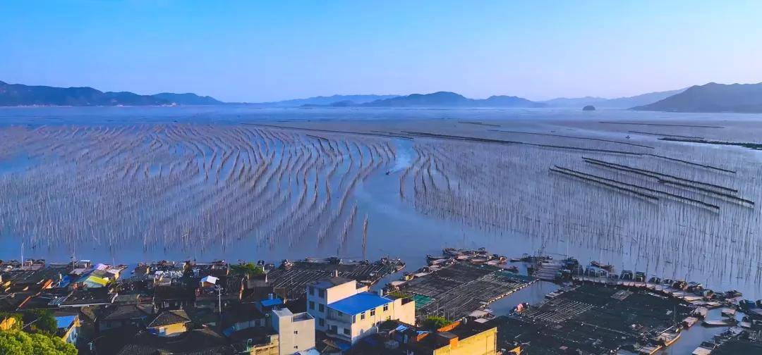 跟着古诗游霞浦丨东吾洋:岛如卧虎中流柱_竹江_滩涂_朱熹