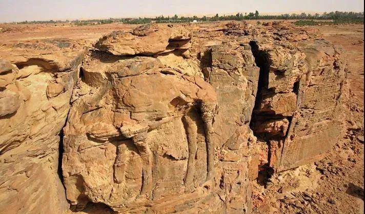 公元前6000年中期发现一系列实物大小的骆驼浮雕,可以追溯到 7000