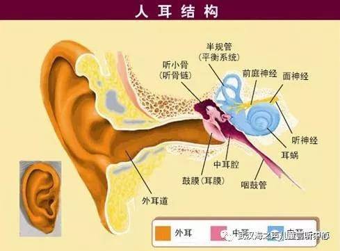 小儿_鼓膜_诊断