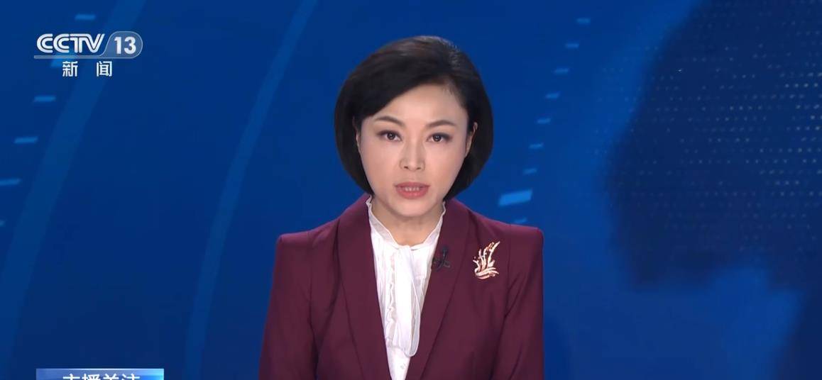 白岩松担任门面主持,搭档新闻频道门面主播_观众_王春潇_市场