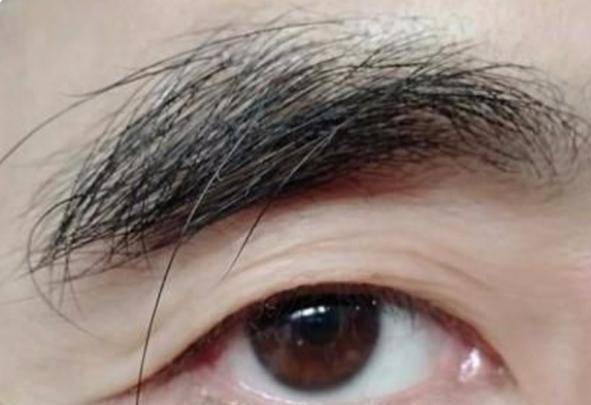 原创男人50岁之后眉毛变长意味着什么是长寿的特征吗