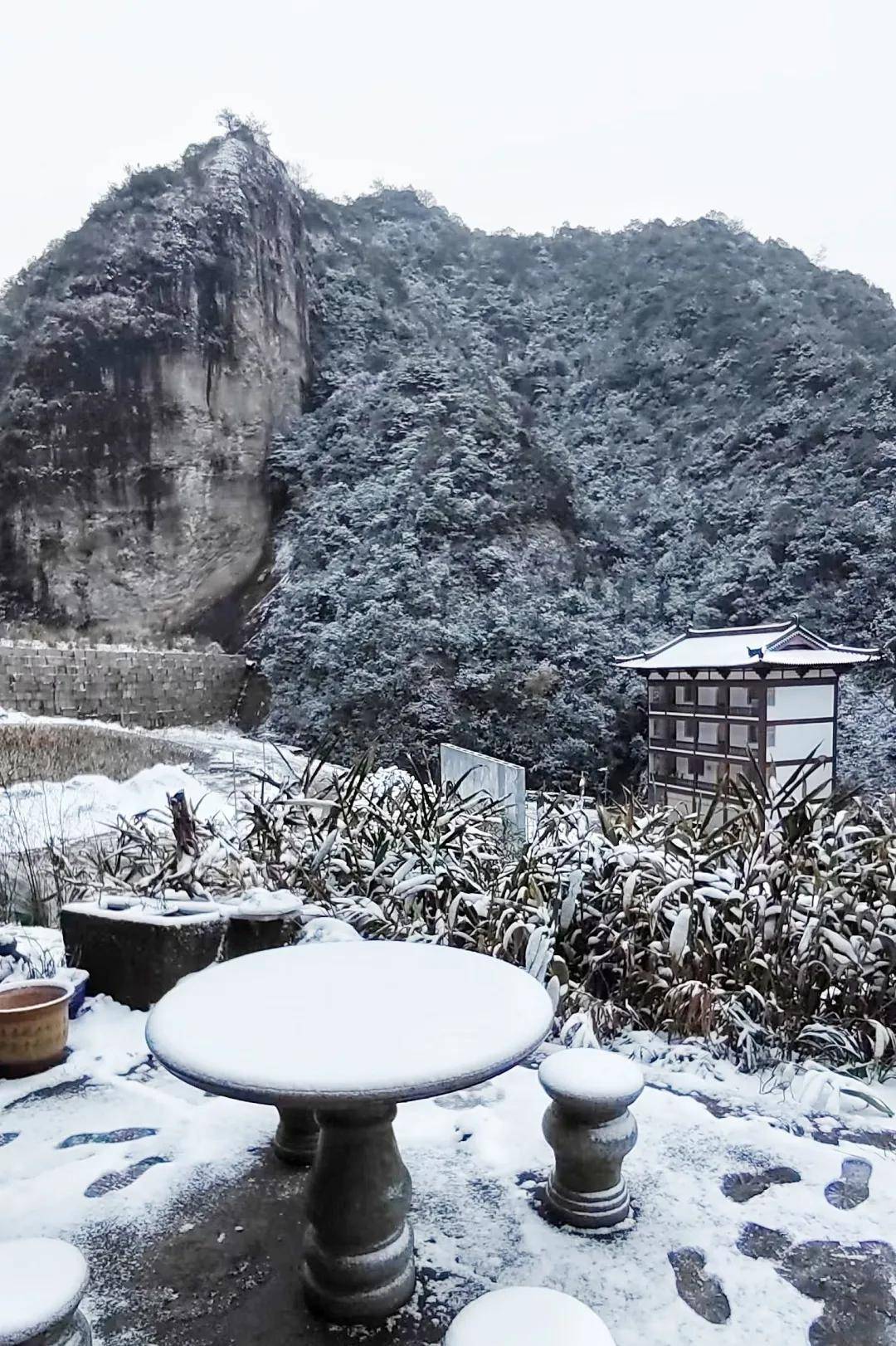 霞浦竟然下雪啦,一起来看看吧~_周宁_寿宁_柘荣