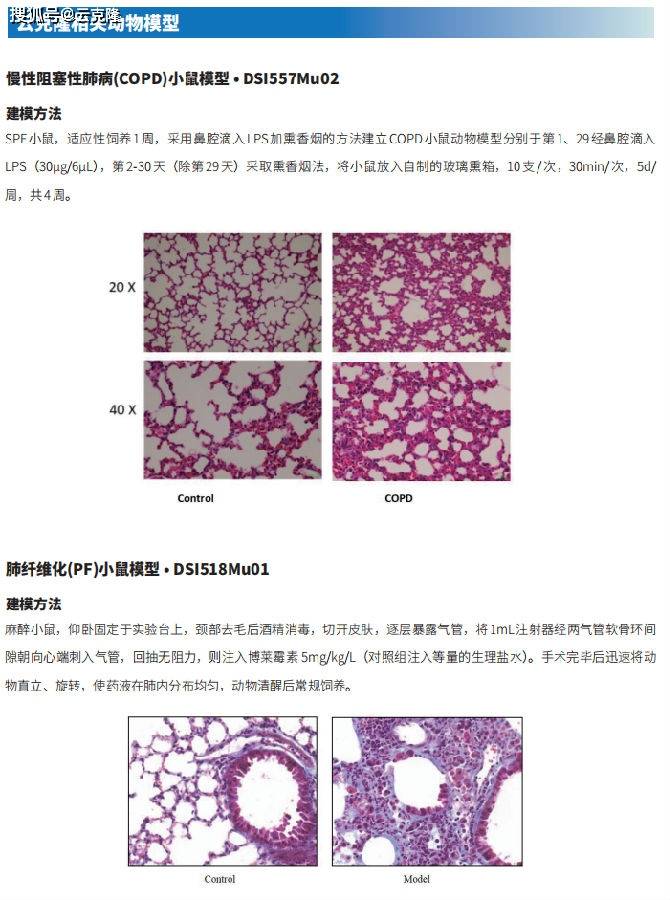 云克隆不仅可提供慢性阻塞性肺疾病动物模型,也涵盖其他常见呼吸系统