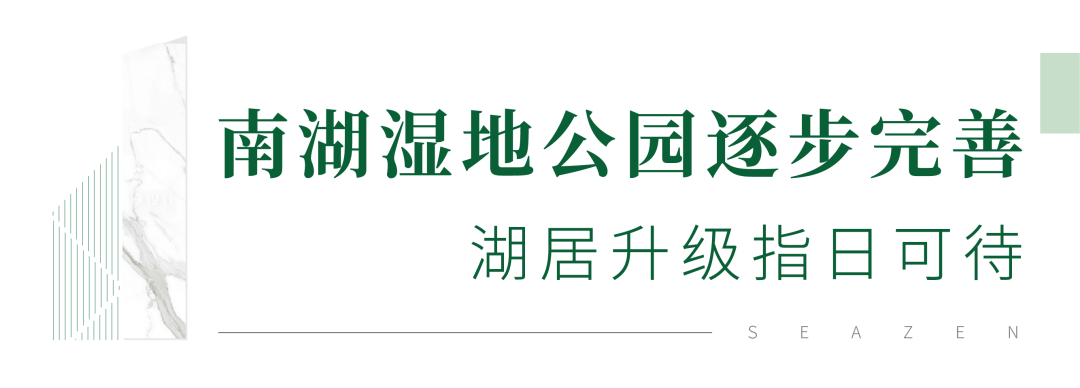 新城控股:安家湾沚,有个地方让你享受生活!_公园_南湖_城市