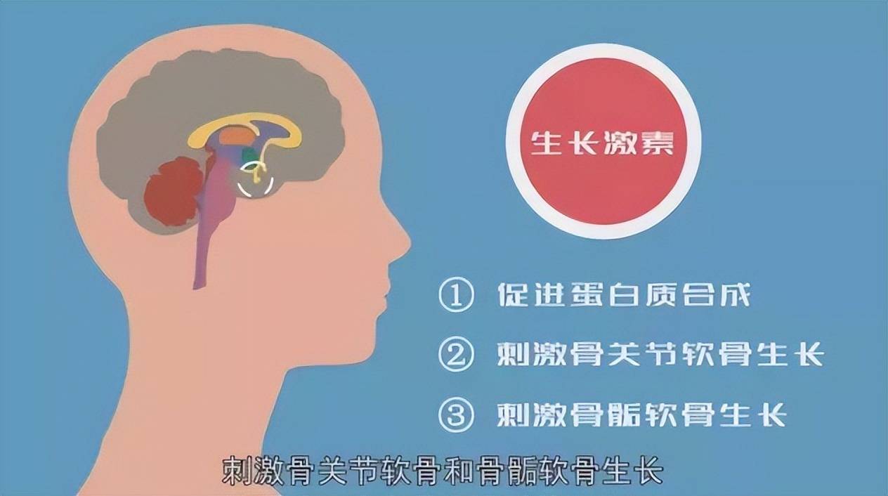 世界卫生组织：孩子春天长得最快！避开三个误区,孩子长高不用愁