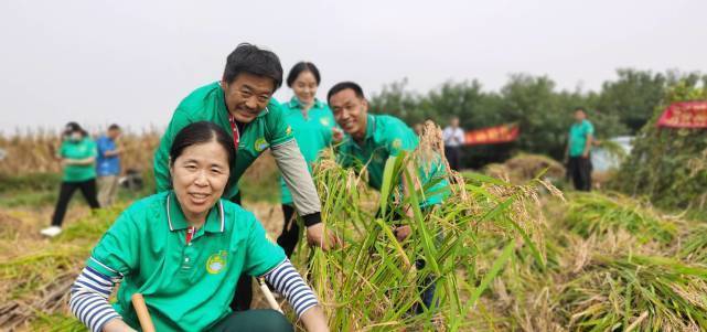 很多种植农户表示,2022年将加大旱稻种植面积.