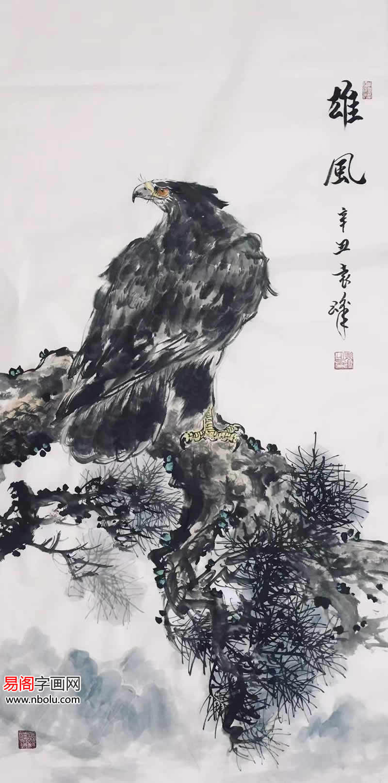 清华美院袁峰画鹰高瞻远瞩大展鸿图