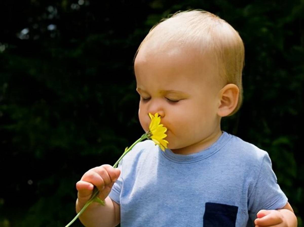 孩子靠嗅觉认识这个世界,嗅觉对宝宝这些方面的影响,家长要清楚