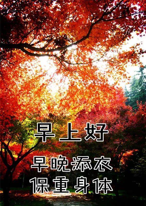 8,彩虹总在风雨后;秋实总在春花后;寂寞总在疯狂后;珍惜总在错过后