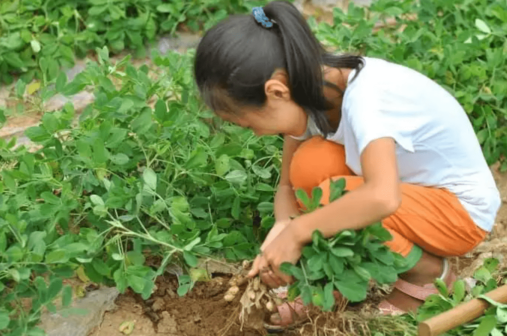 教育部：中小学生要学会煮饭维修家具！做家务成了孩子的必修课