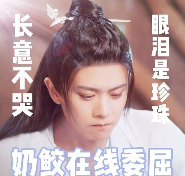 原创任嘉伦的长意究竟是一条什么鱼
