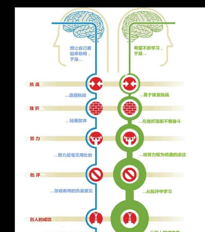 这个从央视辞职的女孩,凭什么逆袭成功_房琪_思维_成长型