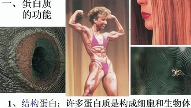 中学课本中的"肌肉女",因担心会引起学生把持不住,已被删除_小孩子