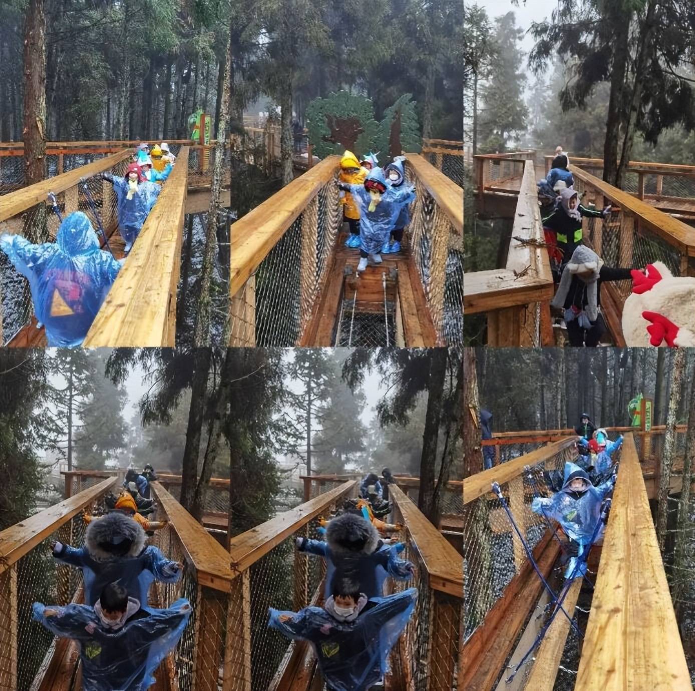 仙女山树顶漫步同时,随着云上恋桥等重大旅游项目的建成,武隆又将呈现