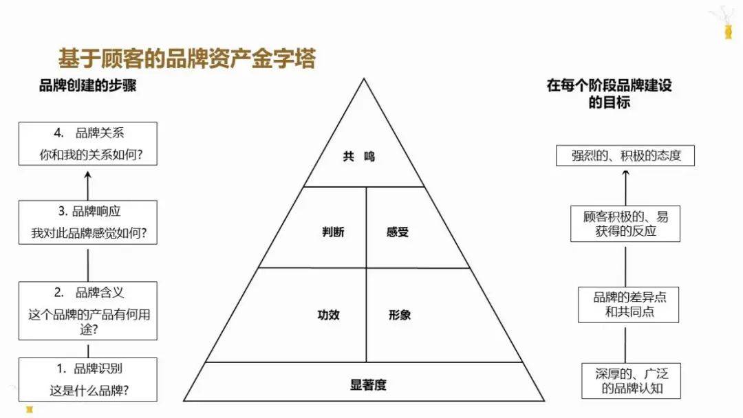 今日重点基于顾客的品牌资产金字塔,回到osm模型.