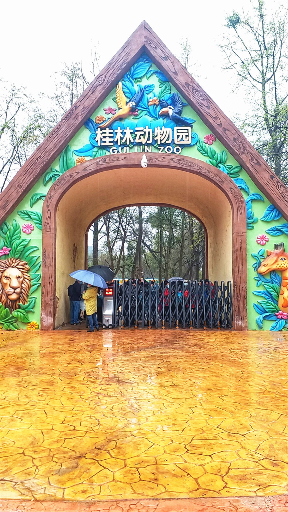 原创桂林新动物园里那些可爱的小动物们