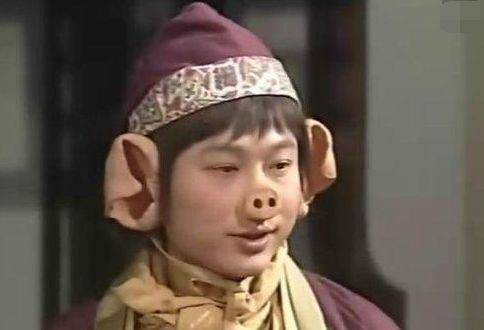 这个版本的西游记中猴子的饰演者是张卫健,所以不管是猪八戒还是猴子