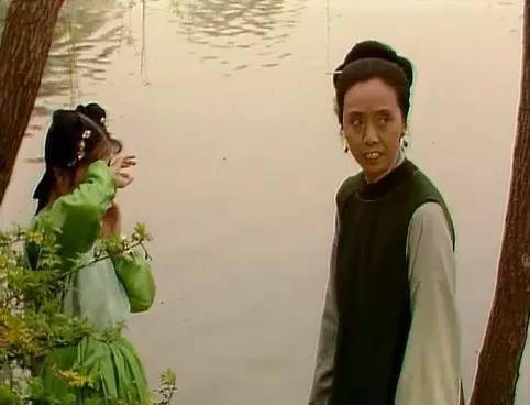 何婆子既心疼花柳,又对春燕莺儿以及旁观的藕官等人都厌恶,当即对春燕