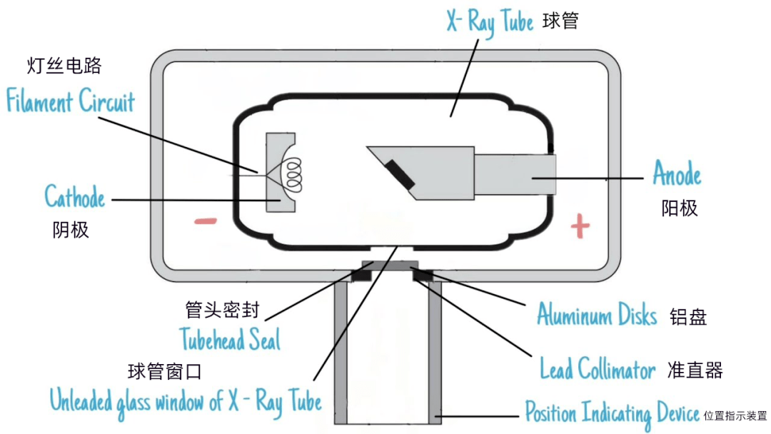 Cbct X