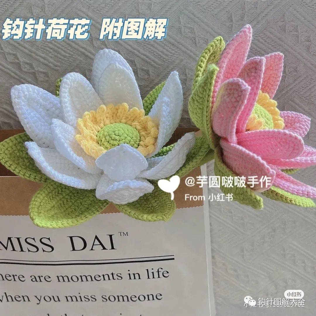 【创意手工】钩针荷花图解_全篇_出处_来源