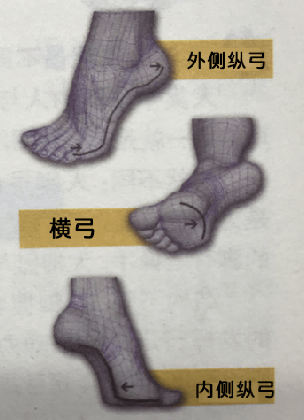 走久了经常会脚痛吗揭秘足弓形成的真相为孩子选鞋科学避坑