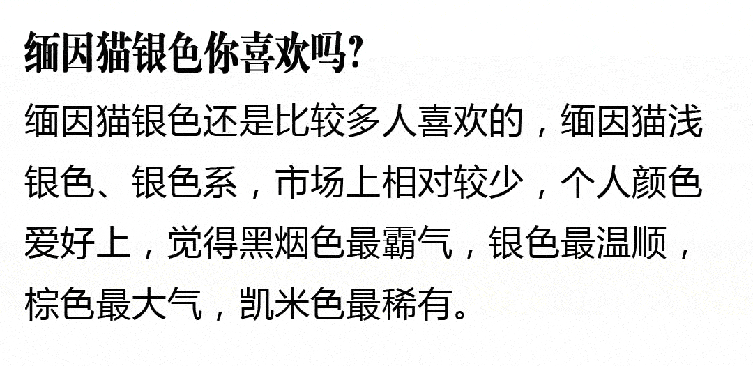 银渐层和缅因猫的串?出售纯种缅因猫?缅因猫的十大忠告?缅因猫遛猫?