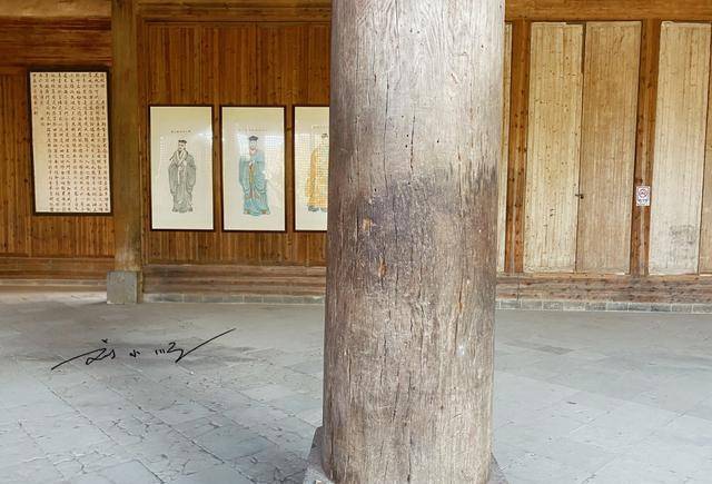 总价值超12亿,游客:活得还不如柱子_金丝楠木_罗东舒_旅游