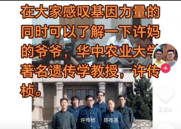许敏的爷爷许传桢是何许人也?做过什么贡献?和袁公有过交集吗?