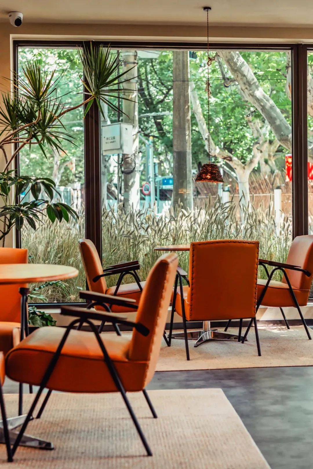 ��ħ��Ħ������� 2022 BEST 50���ذ�������