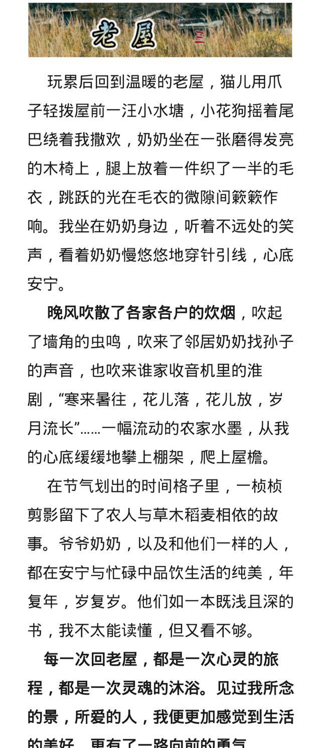 一等奖作文《老屋》，活泼灵动的文字，是高中生的最高水平了  高中作文 第4张