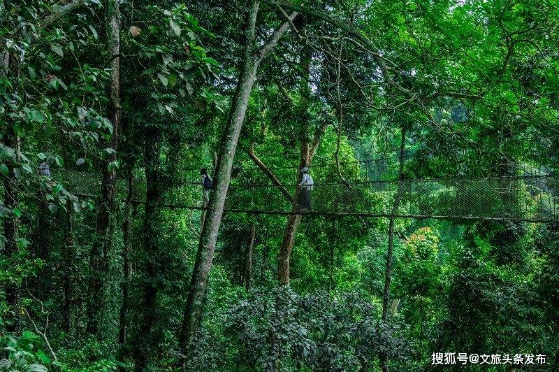 昆明品量游保举丨昆明大理丽江版纳单飞单动纯玩8日游 坐着高铁从雪山游到雨林