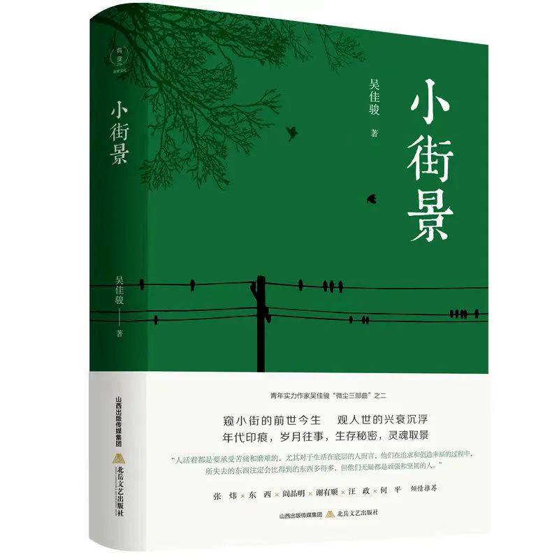 “北岳好书风”2022年度好书揭晓  散文精选 第9张