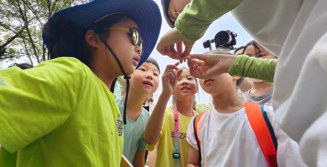 杭州市保俶塔尝试学校学生停止西溪湿地动物大查询拜访