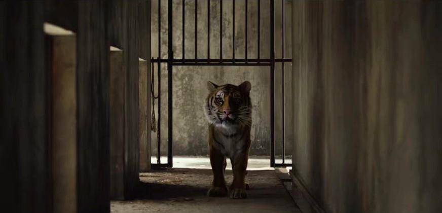 ��Ӱ�������ɵ����Ư���������������֮�䣬�������ʲô ...