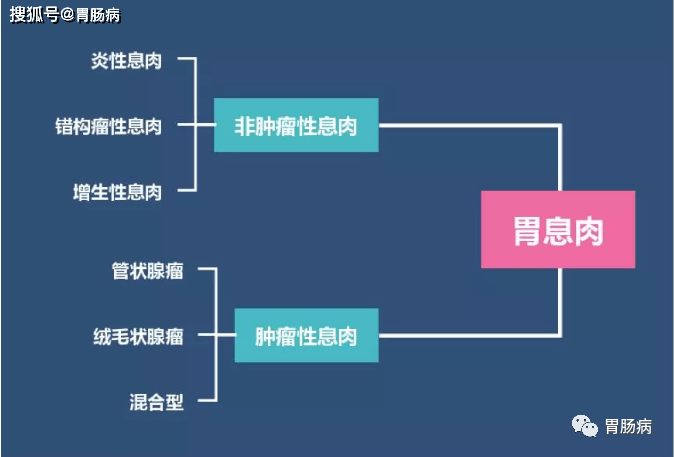 为什么形成胃息肉？怎么预防胃息肉？一文让你变成胃癌预防专家