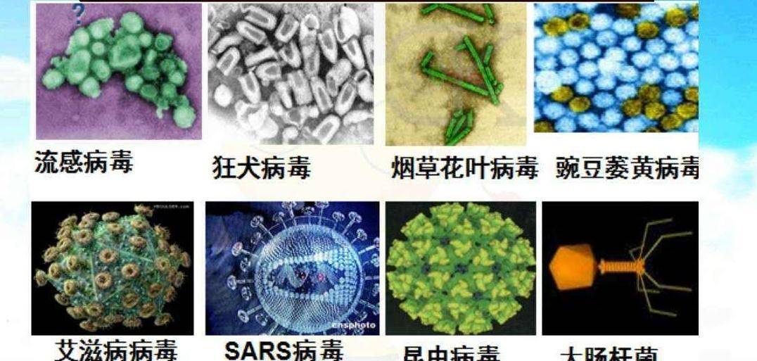 若是地球上所有的生物都起头对抗人类，人类还能活到那一天吗？