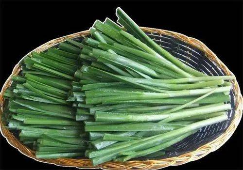 韭菜有什么功效？有哪些食用禁忌？