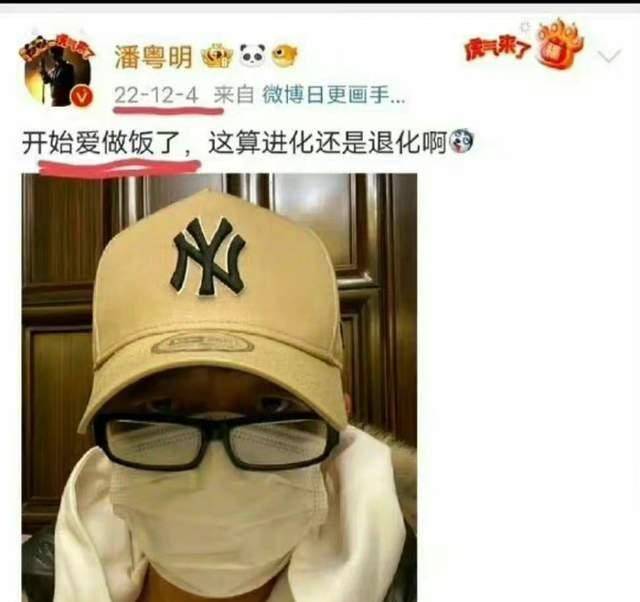 罕见娱乐圈有一个男爱情脑，潘粤明的头像竟是给董洁画的画